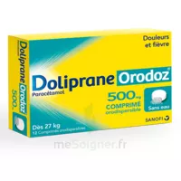 Dolipraneorodoz 500 Mg, Comprimé Orodispersible à GRENOBLE